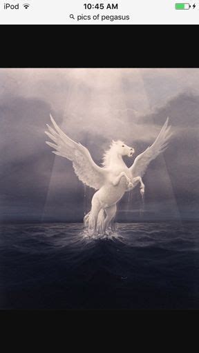 Pegasus | Wiki | Mythology & Cultures Amino