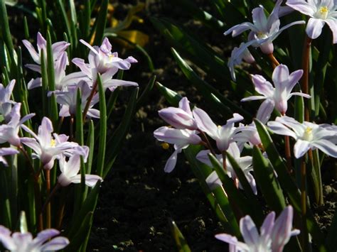 ВСЕВКУЧУ_NAVALOM