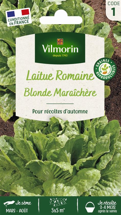 Laitue Romaine Blonde Mara Ch Re Et Automne Vilmorin Jardin
