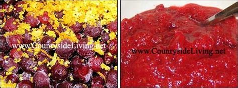 Клюквенно-апельсиновый соус для птицы