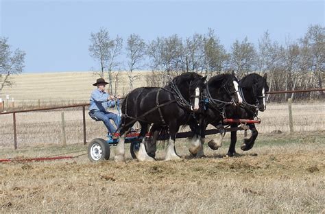Heritage Livestock Canada