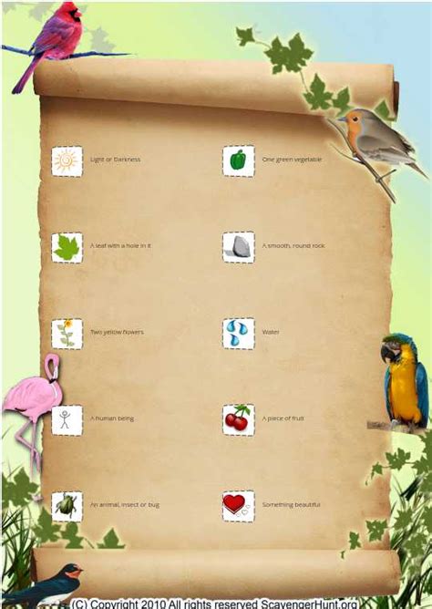 Creation Scavenger Hunt