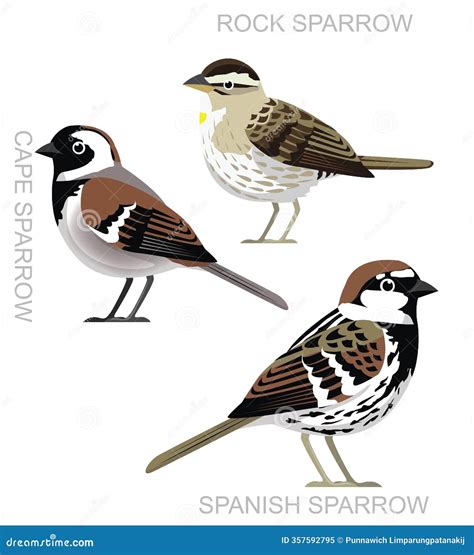 how to say bird in spanish 5