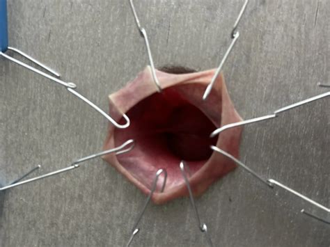 Cbt 6 Nude Pics XHamster