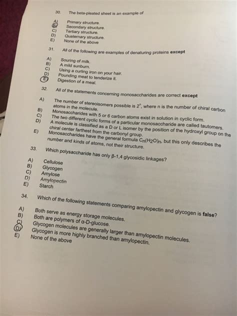 solved   beta pleated sheet     primary cheggcom