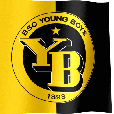 Young Boys Fan Flag (GIF) - All Waving Flags