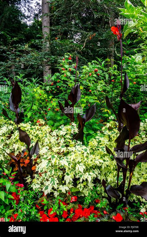 Victoria British Columbia Canada Butchart Gardens Stock Photo Alamy