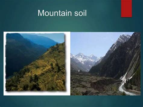 types  soil pptx