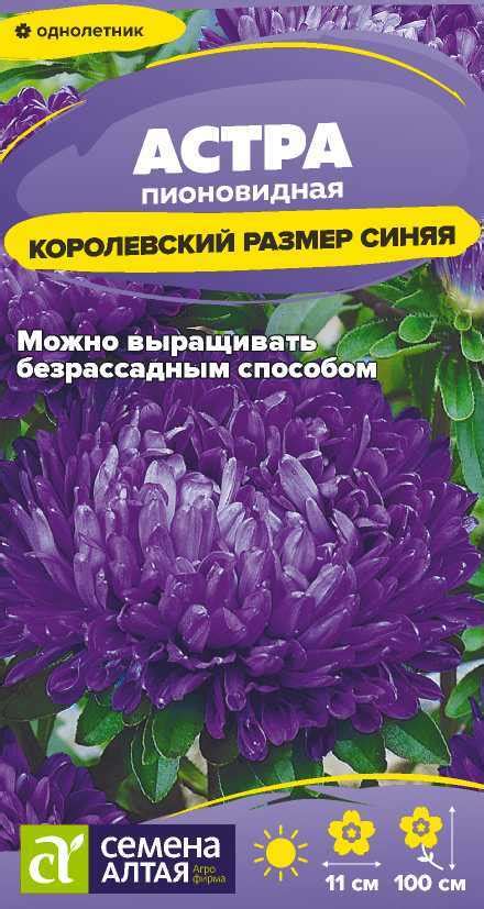 Цветы