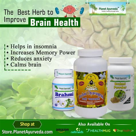 Anxiety Treatment Ayurvedic Herbs Ayurveda Bacopa Monnieri Increase