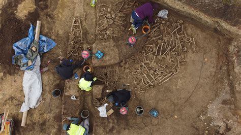 Vienna archaeologists reveal mass grave of fighters in Roman Empire-era
