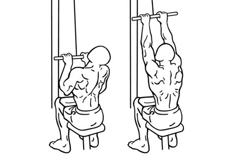 Close Grip Lat Pulldown The Complete Guide [2021 Edition]