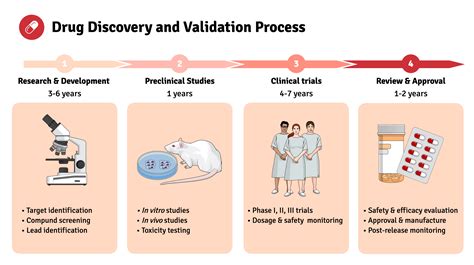 Drug Discovery And Validation Process Infographic Templates