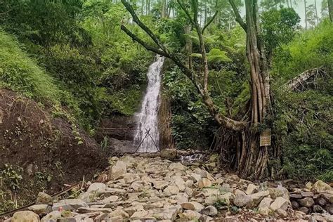 Wisata Ke Air Terjun Roro Kuning Di Nganjuk Yang Melegenda Kabar Bumn
