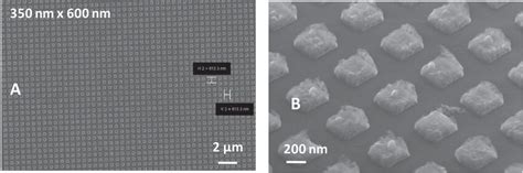 (A) Scanning electron micrographs of a larger area of a 350 × 600 nm ...