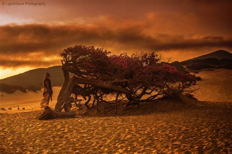 Nude Magazine Numero Sand Issue Exclusive