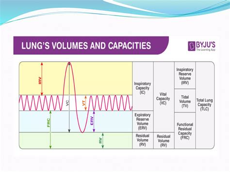 how to calculate tidal volume in lungs 8