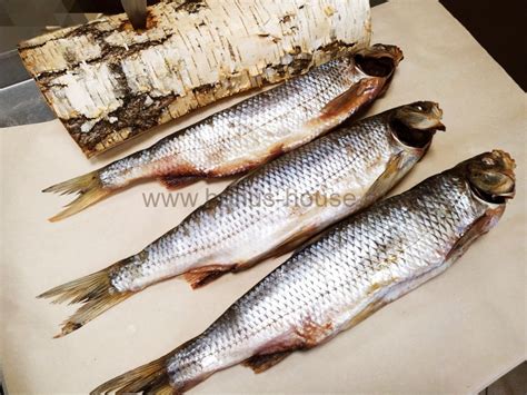 Кутум вяленый каспийский купить в Москве