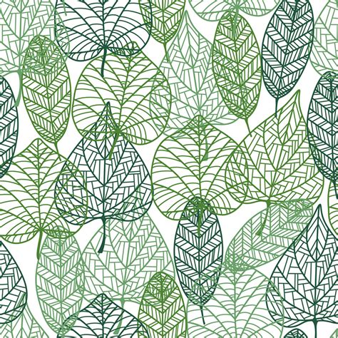 Plant Bg