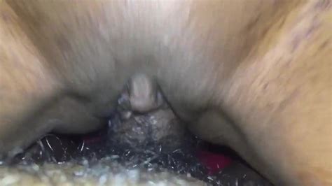 My Pussy Swallows His Dick Pornhub