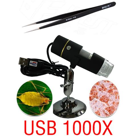 Модернизация китайского микроскопа - Разное - Форум по радиоэлектронике