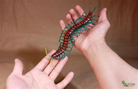 My Polymer Clay Sculpture Of Chinese Mint Leg Centipede Scolopendra