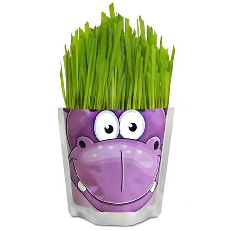 ЕОНК - Наборы для выращивания Happy Plant «Бегемот» - 9751152 - 278 руб.