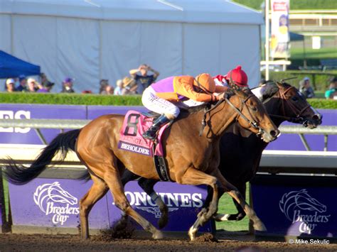 South African Horse Racing Tips With Trainer Jockey And Horse Data