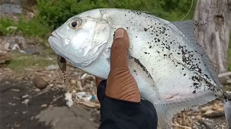 Mancing Casting Di Spot Andalan Kondisi Seperti Ini Malah Banyak