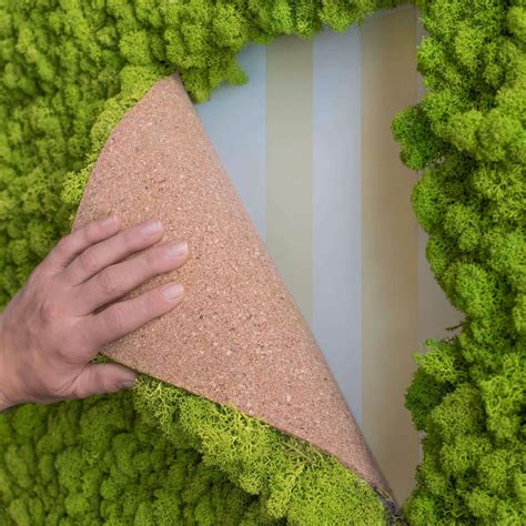 Diy Moss Wall Kit Moss Wall Art Forest Homes