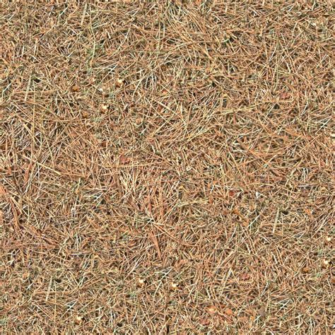 Текстура травы | Бесшовные текстуры травы