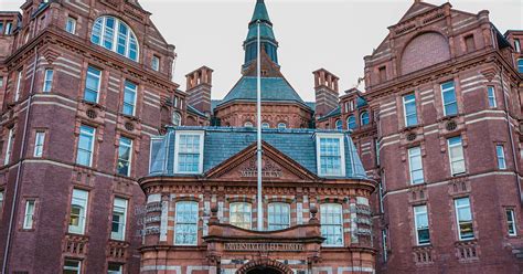海外大学で通用する英語学習とは？ リケジョが海外名門大学に進学できたワケ フクロウナビ ― おとなに、社会に、知る楽しみを。