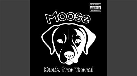 Moose Youtube