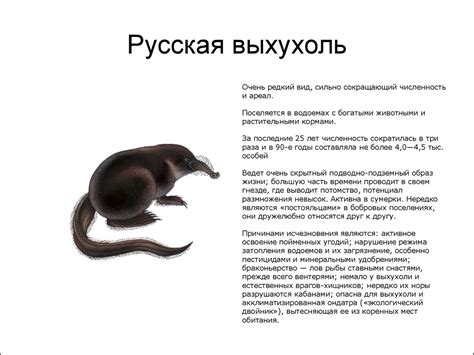 Красная книга Волгоградской области. Птицы и млекопитающие - online ...