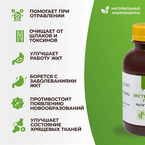 Экстракт корня лопуха Биолит - 200 мл. При заболеваниях ЖКТ, густой ...