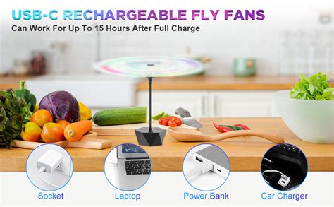 Amazon Chemotex Fly Fans For Tables Rechargeable Fly Fans Keep