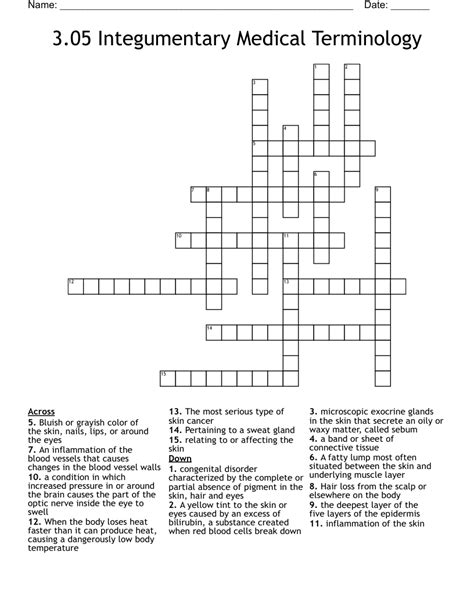 3 05 Integumentary Medical Terminology Crossword WordMint