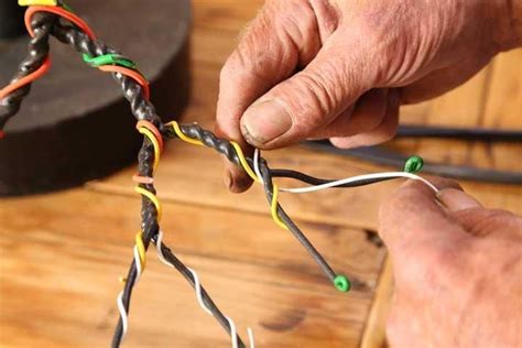 Bonsai Wiring Video How To Grow A Bonsai Tree