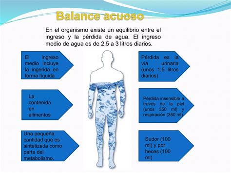 Líquidos Y Electrolitos Corporales Ppt
