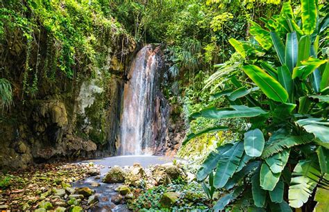 St Lucia Private Island Tour Hilary Transfers And Tours