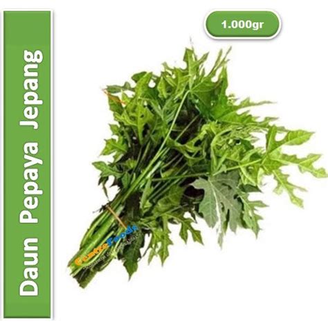 jual sayur daun pepaya jepang segar daun chaya fresh gr