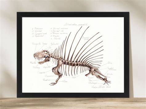 Dimetrodon