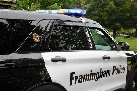Framingham Police: Dog Struck & Killed - Framingham Source