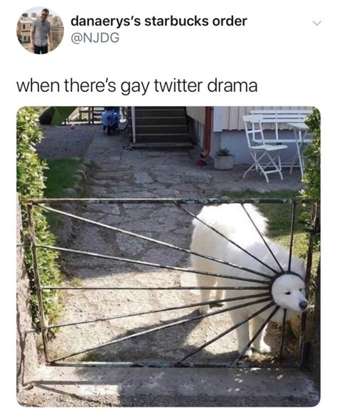 Gay People Twitter On Tumblr