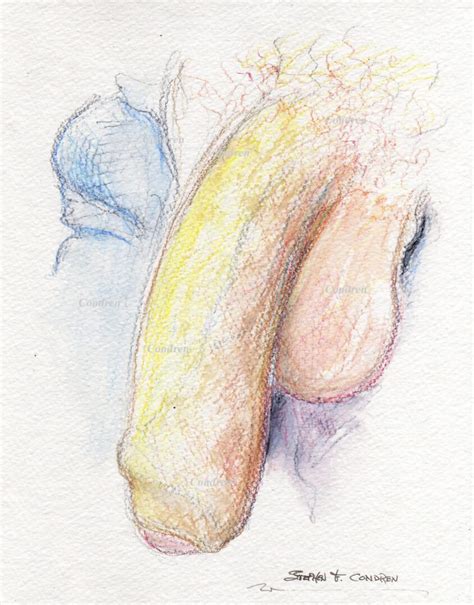 Gay Penis Art Sex Drawings Prints And Scans Condren Galleries