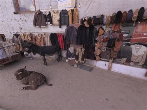 8 дней в Гималаях — Переменам Быть!