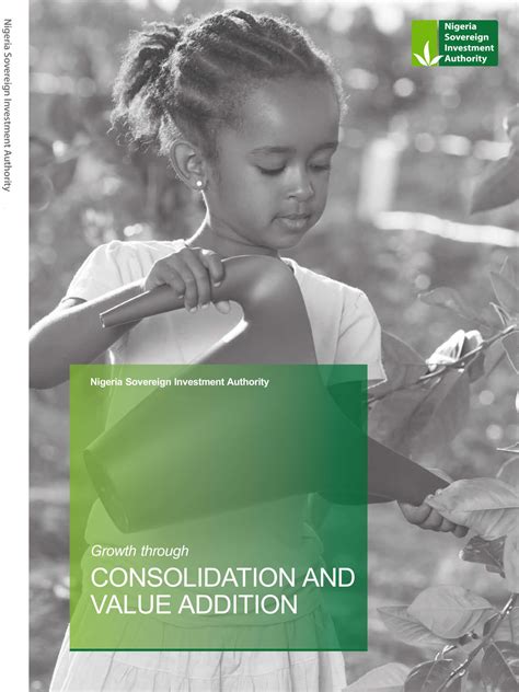 2014 Annual Report Nsia