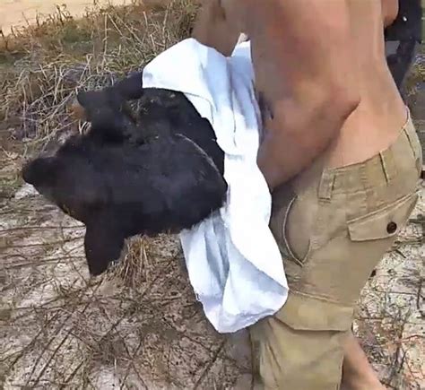 Crueldade Cachorro Enterrado Vivo E Resgatado Ap S Moradores Ouvirem