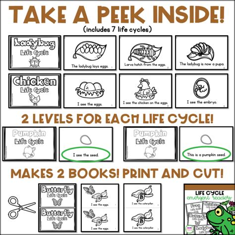 Life Cycle Easy Readers For Kindergarten
