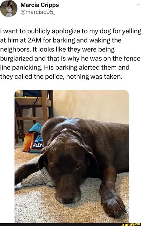 Favorite Girl Things Makes At Bingo Orite Makes Horny Bingo Toned Ifunny